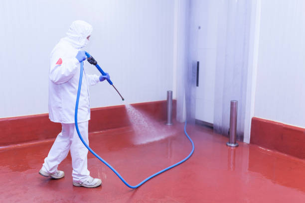 Best Rust and Stain Removal in Maywood, IL